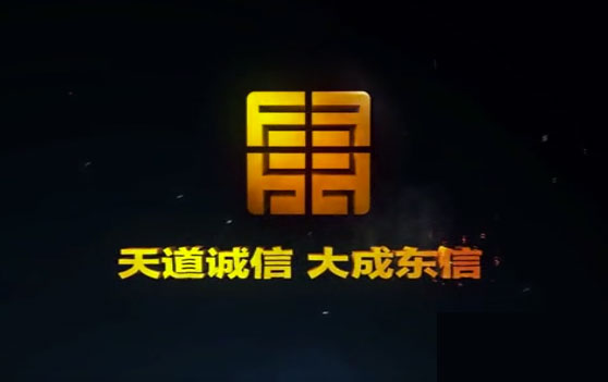 東信國際房地產項目宣傳片